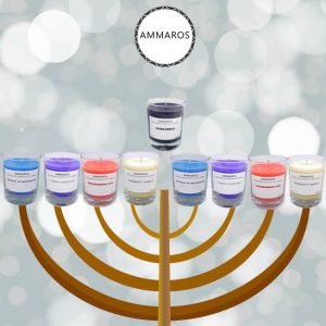 24991167_1550988845017855_2550984839281597230_n