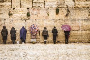 Women at the Western Wall Iris Cohenian