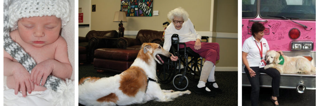 From nursery schools to nursing homes and everything in between.