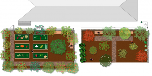 garden plan