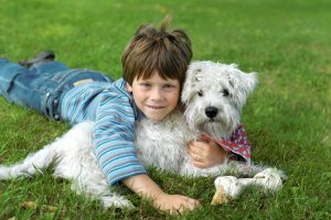 little-boy-and-dog