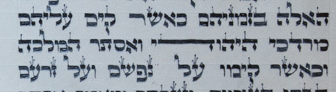 Most Popular Torah Training Scroll - With Vowels & Cantillation