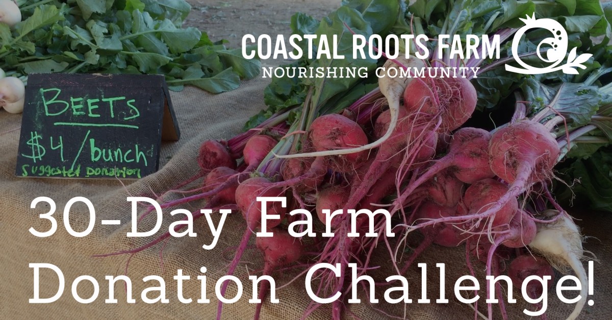 This Holiday Season 30Day Farm Donation Challenge! Jewcer