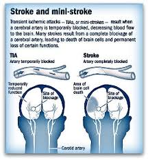 Campaign organizer profile img