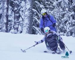 Campaign organizer profile img