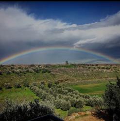 Campaign organizer profile img