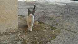 Campaign organizer profile img