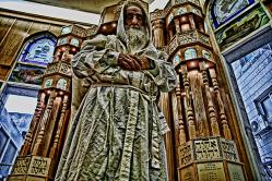 Campaign organizer profile img