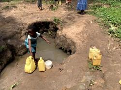 Campaign organizer profile img