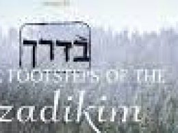 Campaign organizer profile img